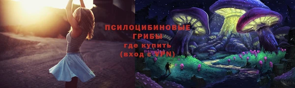 винт Армянск
