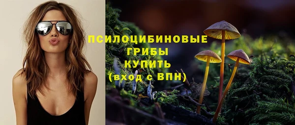 винт Армянск
